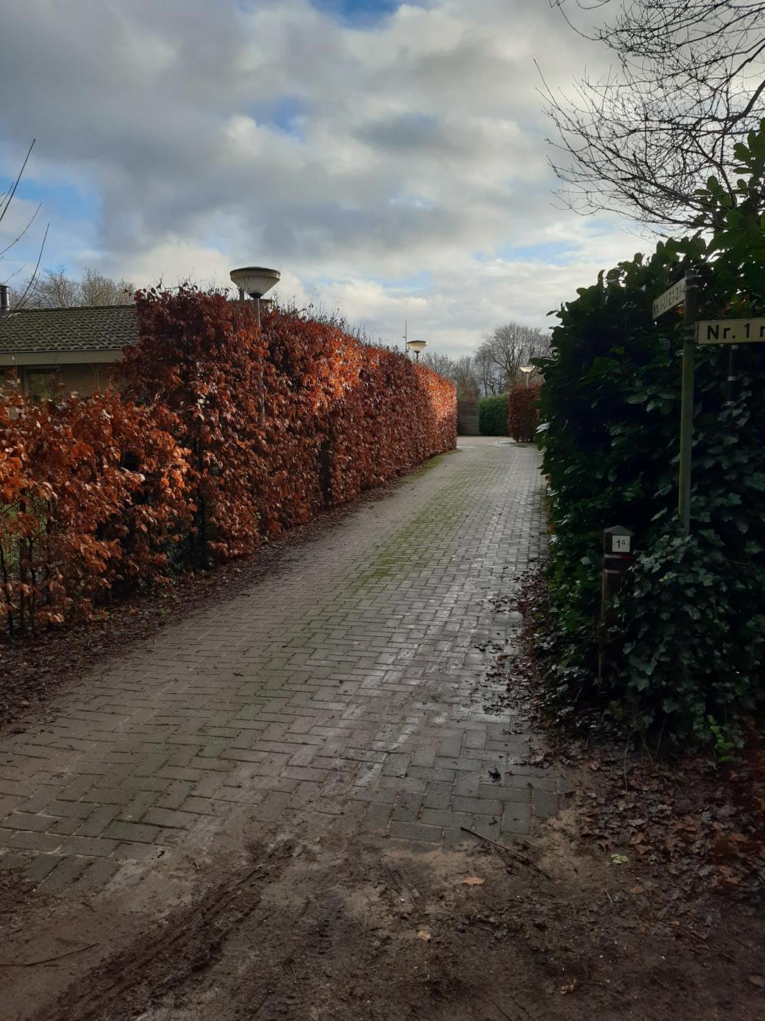 Villa Huinerhofje 2 - Vrijstaand Met Grote Omheinde Tuin, Rust, Privacy En Nabij Bossen à Putten Extérieur photo